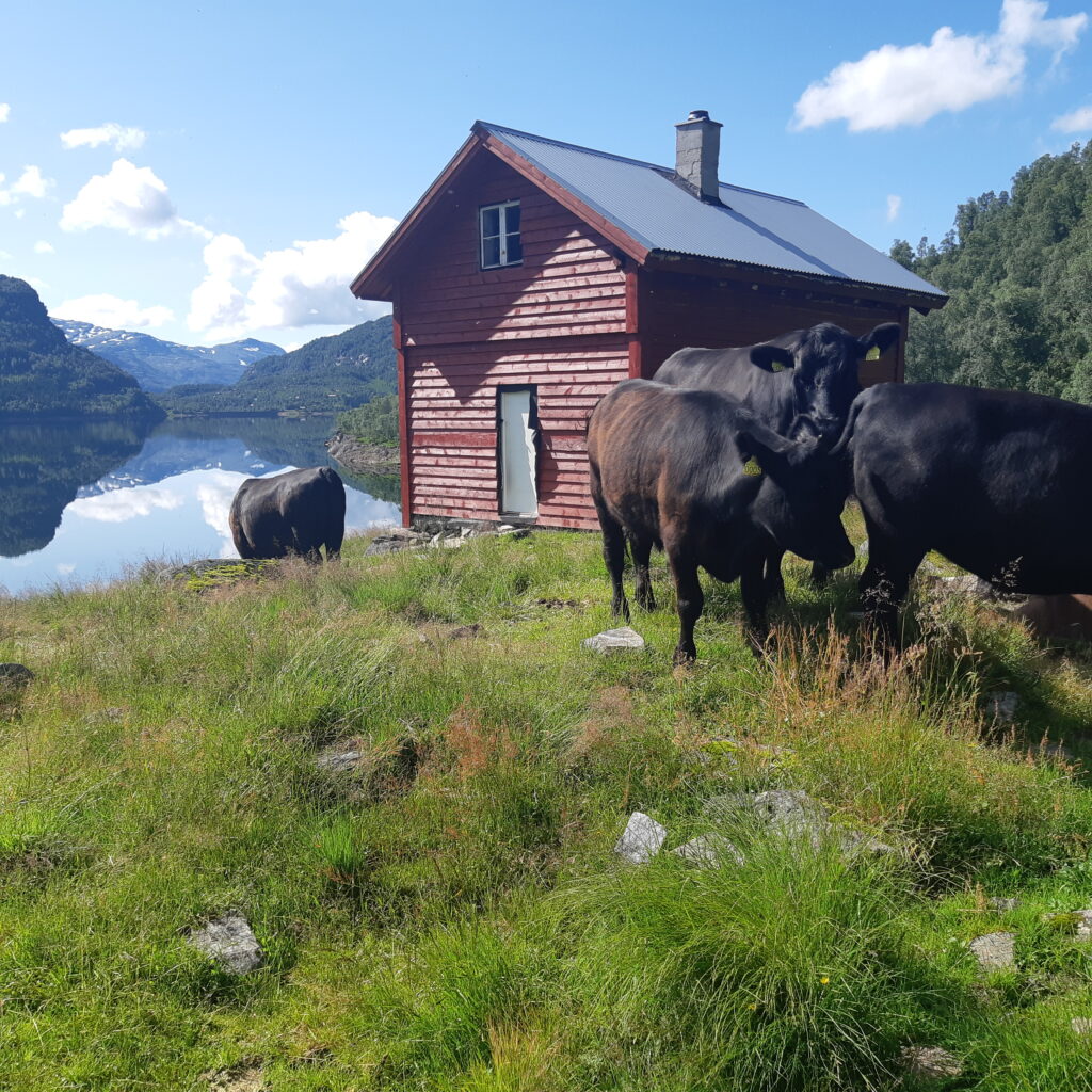 Stølen Slettedalen